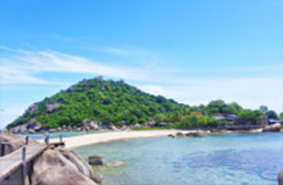 Suratthani Around 4วัน3คืน รอบสุราษฯ