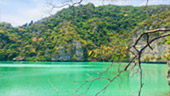 Heritage of Asia: ทะเลสุราษ ดำน้ำหมู่เกาะอ่างทอง