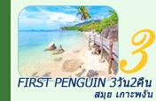 First Penguin: สมุย เกาะพงัน 3 วัน 2 คืน