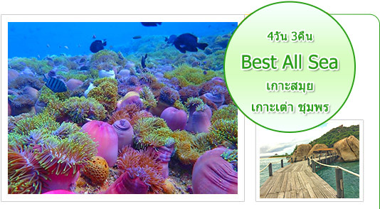 Best all sea: 4 วัน 3 คืน